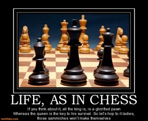 life-as-in-chess-chess-game-wife-food-hurt-demotivational-posters-1313207503